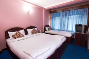 Hotel Thamel Lily Family Bed