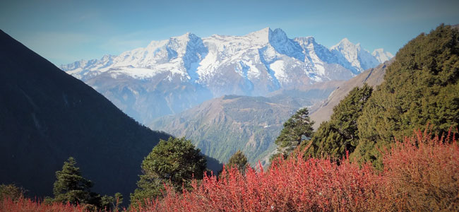 Best 5 Walking Holidays in Nepal Safe to Trek After Earthquake